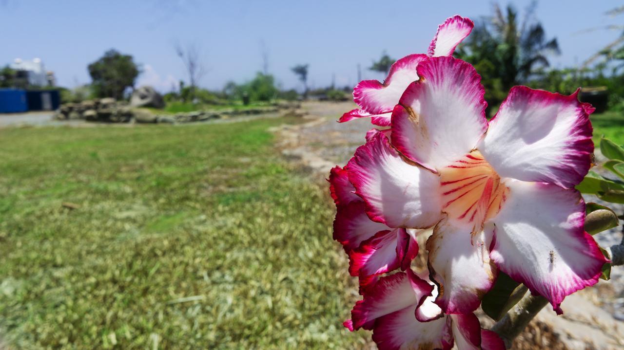 Pisces Garden B&B Checheng Bagian luar foto